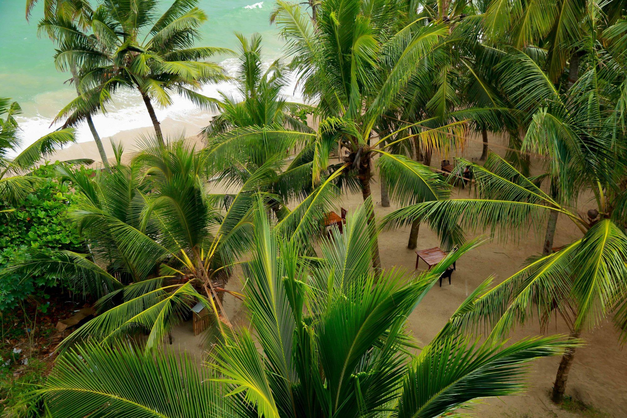 Ceylon Sea Hotel แทนกาลเล ภายนอก รูปภาพ